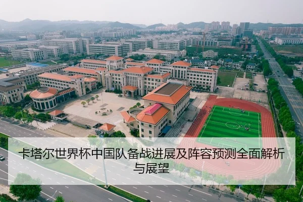 卡塔尔世界杯中国队备战进展及阵容预测全面解析与展望